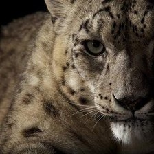 Cross stitch pattern: #719576