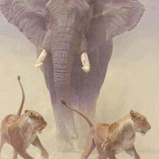 Cross stitch pattern: #719580