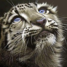 Cross stitch pattern: #719604