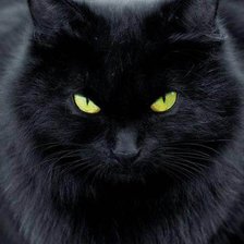 Cross stitch pattern: #721160