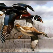 Cross stitch pattern: #722758
