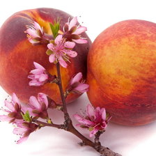 Cross stitch pattern: #724600