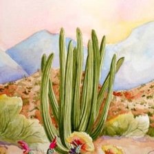 Cross stitch pattern: #724911
