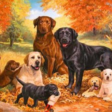 Cross stitch pattern: #725941