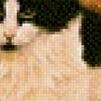 Preview of cross stitch pattern: #729853