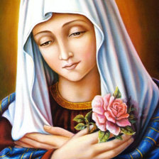 Cross stitch pattern: #732511