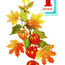 Cross stitch pattern: #732981