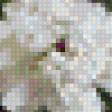 Preview of cross stitch pattern: #734240