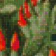 Preview of cross stitch pattern: #735586
