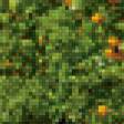 Preview of cross stitch pattern: #736548