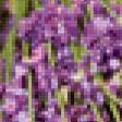 Preview of cross stitch pattern: #736551