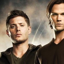 Cross stitch pattern: #736883