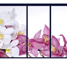 Cross stitch pattern: #740027