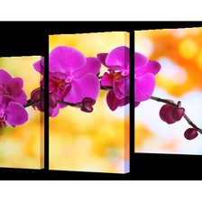 Cross stitch pattern: #740030