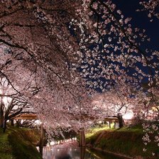 Cross stitch pattern: #741164