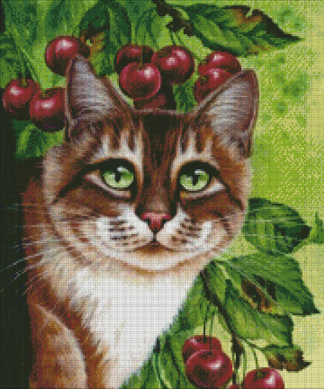 Белоснежка кот. Котик с вишней. Коты и ягоды. Кот Ягодка.
