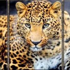 Cross stitch pattern: #741627