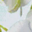 Preview of cross stitch pattern: #741637