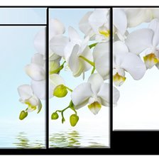 Cross stitch pattern: #741637