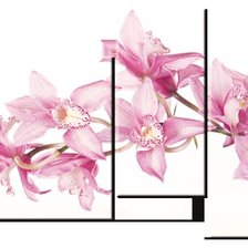 Cross stitch pattern: #741641