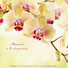 Cross stitch pattern: #741648