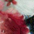 Preview of cross stitch pattern: #742730