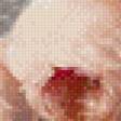 Preview of cross stitch pattern: #742789