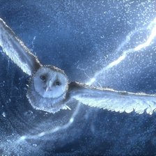 Cross stitch pattern: #743508