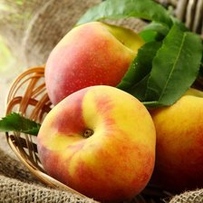 Cross stitch pattern: #746262