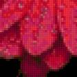 Preview of cross stitch pattern: #748342