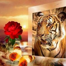 Cross stitch pattern: #748344