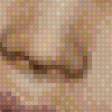 Preview of cross stitch pattern: #748442