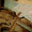 Preview of cross stitch pattern: #748446
