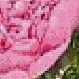 Preview of cross stitch pattern: #751808