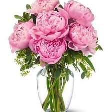 Cross stitch pattern: #751808