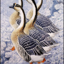 Cross stitch pattern: #752126