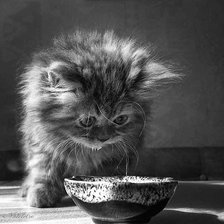 Cross stitch pattern: #753381