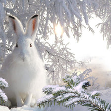 Cross stitch pattern: #753386