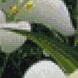 Preview of cross stitch pattern: #753623