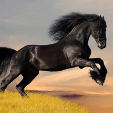 Cross stitch pattern: #758131