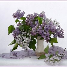 Cross stitch pattern: #758820