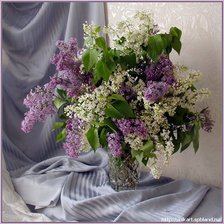 Cross stitch pattern: #758825