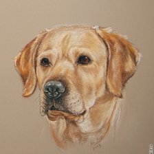 Cross stitch pattern: #759160