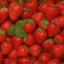 Cross stitch pattern: #761968