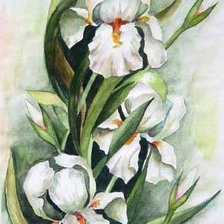 Cross stitch pattern: #762066