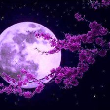 Cross stitch pattern: #763115