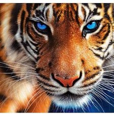 Cross stitch pattern: #768129