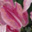 Preview of cross stitch pattern: #768556