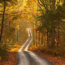 Cross stitch pattern: #768745