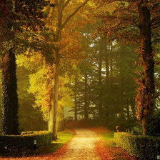 Cross stitch pattern: #768757